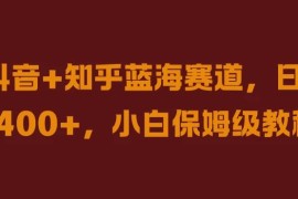 抖音 知乎蓝海赛道，日入400 ，小白保姆级教程