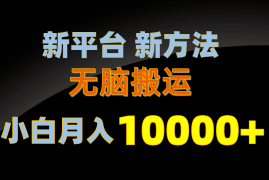 （10605期）新平台新方法，无脑搬运，月赚10000 ，小白轻松上手不动脑
