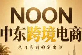 NOON中东跨境电商：从开店到稳定出单(更新2026)