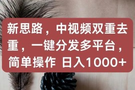 新思路，中视频双重去重，一键分发多平台，简单操作，日入1000 ！快来试试吧！