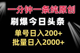 （13495期）一分钟一条纯原创 刷爆今日头条 单号日入200  批量日入2000 