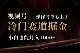 （11378期）2024视频号冷门赛道掘金，操作简单轻松上手，小白也能月入1000 
