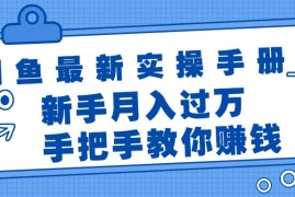 （11818期）闲鱼最新实操手册，手把手教你赚钱，新手月入过万轻轻松松