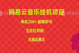 （10577期）网易云音乐挂机项目，单机200 ，躺赚即可，正在红利期，无脑且暴力