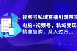 视频号私域直播引流带货：电脑 视频号，私域变现，精准复购，月入过万