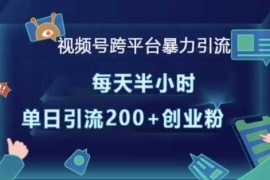 视频号跨平台暴力引流，每天半小时，单日引流200 精准创业粉