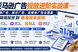 亚马逊广告投放进阶实战课——品牌广告、展示广告、流媒体广告全覆盖，从烧钱投放到精准控本提效