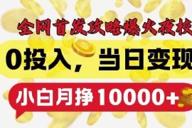 全网首发爆火夜校，0投入，当日变现，小白轻松月入1w 【揭秘】