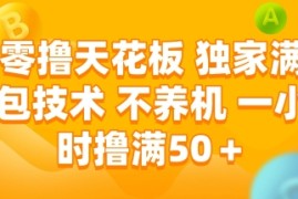 零撸天花板，独家满包技术 不养机 一小时撸满50 【揭秘】