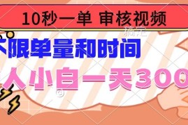 （14093期）10秒一单，审核视频 ，不限单量时间，新人小白一天300 
