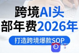 跨境AI头部年费2026年，打造跨境爆款SOP(更新6月)
