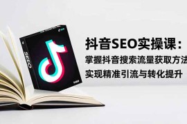 抖音SEO实战引流课：掌握抖音搜索流量获取方法，实现精准引流与转化提升