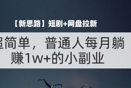 （11980期）【新思路】短剧 网盘拉新，超简单，普通人每月躺赚1w 的小副业