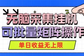 无脑采集自动运行，可批量矩阵操作，单日收益无上限