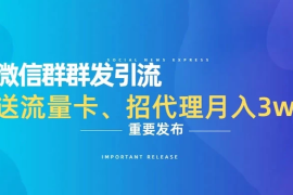 利用微信群卖流量卡，招代理，3 个月变现 11 万（附软件）