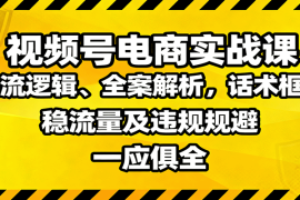 视频号电商实战课：推流逻辑、全案解析，话术框架，稳流量及违规规避等