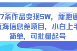 27条作品变现5W，新跑通蓝海信息差项目，小白上手简单，可批量起号
