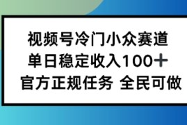 视频号小众赛道，单日稳定收入100 ，适合所有人