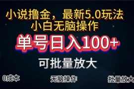（11651期）全自动小说撸金，单号日入100 小白轻松上手，无脑操作