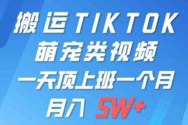 （9931期）一键搬运TIKTOK萌宠类视频 一部手机即可操作 所有平台均可发布 轻松月入5W 