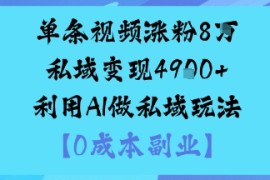 单条视频涨粉8W私域变现1k 利用AI做私域玩法