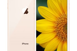 iphone8颜色(苹果8颜色)