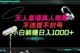 抖音24小时无人直播音乐，不违规，不封号纯撸音浪，小白实操当天日入1000 【揭秘】