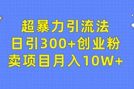 （9954期）超暴力引流法，日引300 创业粉，卖项目月入10W 