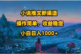 小说推文新玩法，操作简单，收益稳定，日入1000 