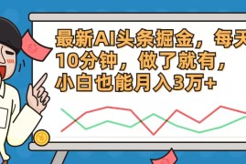 （12021期）最新AI头条掘金，每天10分钟，做了就有，小白也能月入3万 