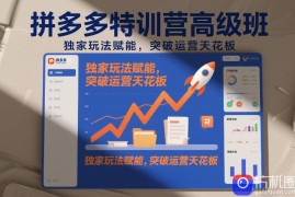 拼多多特训营高阶班，独家玩法赋能，突破运营天花板(更新26年7月24日)