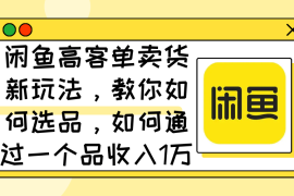 （12387期）闲鱼高客单卖货新玩法，教你如何选品，如何通过一个品收入1万 