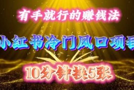 每天 10 分钟，小红书冷门风口项目开启，有手就行的搬运赚钱法，小白日入500  【揭秘】