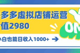 （10120期）拼多多虚拟店铺运营：小白也能日收入1000 