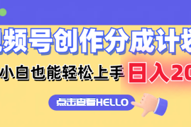 （12158期）视频号创作分成计划 新手小白也能轻松上手 无脑搬运简单操作 日入2000 