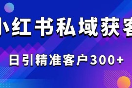 （14304期）2025最新小红书平台引流获客截流自热玩法讲解，日引精准客户300 