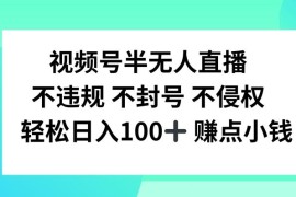 视频号半无人直播，不违规不封号，轻松日入100 【揭秘】