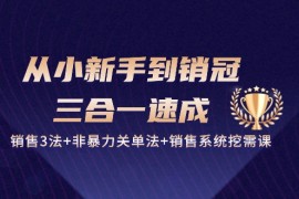（10799期）从小新手到销冠 三合一速成：销售3法 非暴力关单法 销售系统挖需课 (27节)