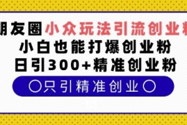 朋友圈小众玩法引流创业粉，小白也能打爆创业粉，日引300 精准创业粉【揭秘】