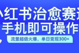 小红书治愈视频赛道，手机即可操作，流量超级火爆，单日变现300 【揭秘】