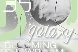 gfive手机(goodve手机)