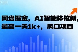 网盘掘金，AI智能体拉新，最高一天1k ，风口项目