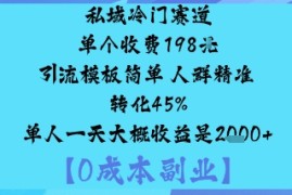 私域冷门赛道:单个收费198米引流模板简单人群精准转化45%单人一天大概收益是1k 