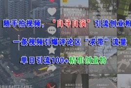 随手拍视频，自导自演引流创业粉， 一条视频引爆评论区“求带”流量，单日引流100 精准创业粉