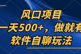 （13087期）一天500 ，只要做就有，软件自聊玩法