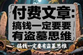 付费文章：搞钱一定要有盗墓思维