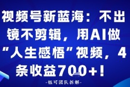视频号新蓝海：不出镜不剪辑，用AI做“人生感悟”视频，4条收益7张
