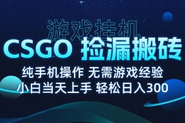 （15820期）8月最新游戏搬砖，CSGO纯挂机，不需要玩游戏，实现真挂机，月入1W 