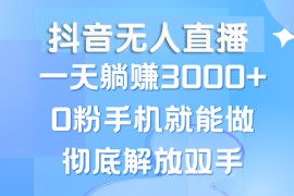 （13038期）抖音无人直播，一天躺赚3000 ，0粉手机就能做，新手小白均可操作