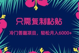 只需复制粘贴，冷门答题项目，轻松月入 6000